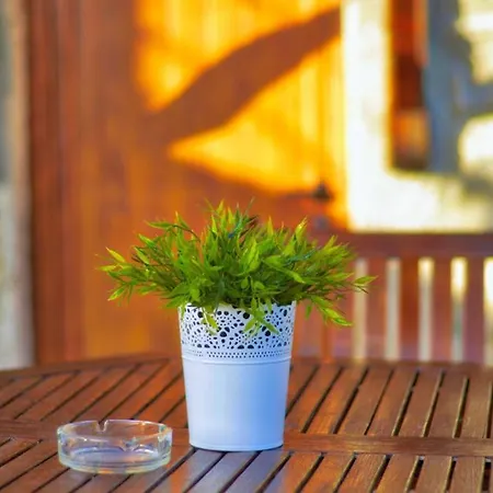 Casa Da Laranjeira Barbeitos