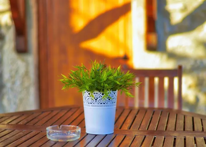 Casa Da Laranjeira Barbeitos